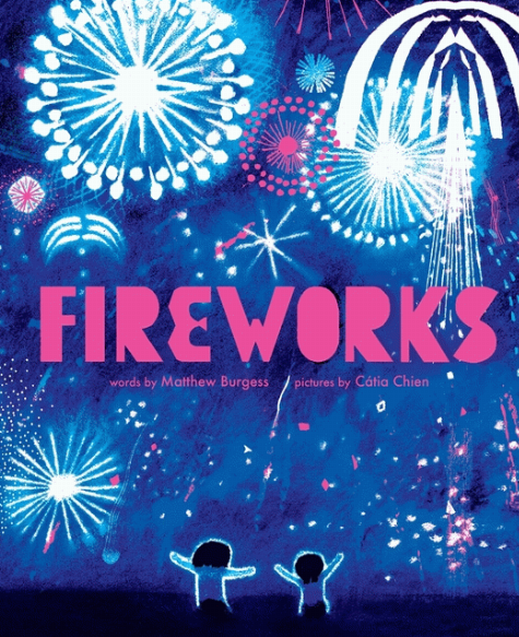 Book cover of Fireworks