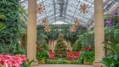 Longwood Gardens Conservatory decorated for Christmas 