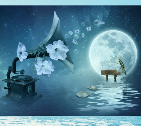 Photo of night sky with full moon; also including an old fashioned phonograph with white blossoms depicting the sound and a cicada playing the piano.