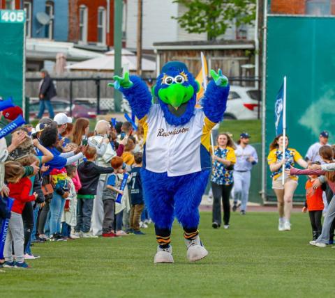 DownTown, the mascot of the York Revolution baseball team, enters the baseball field surrounded by cheering fans.