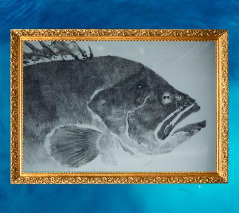 gold framed fishprint with a blue water background