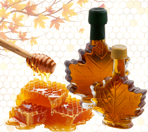 Graphic of honey in a comb and honey dipper, 2 bottles of maple syrup against a background of honeycomb and maple leaves.