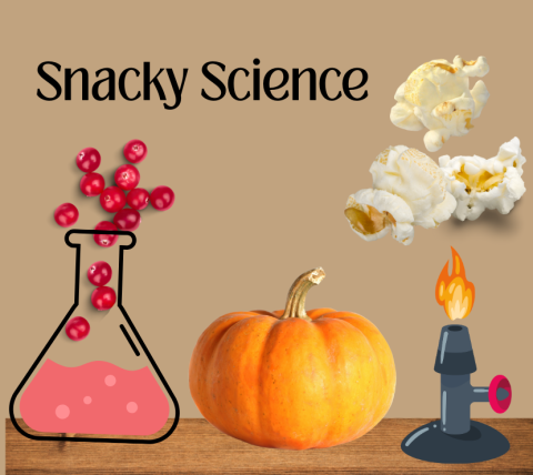 Cranberries in a beaker, a pumpkin, and popcorn popping above a burner.