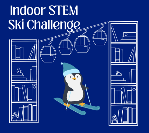 Bookshelves with ski lift and skier