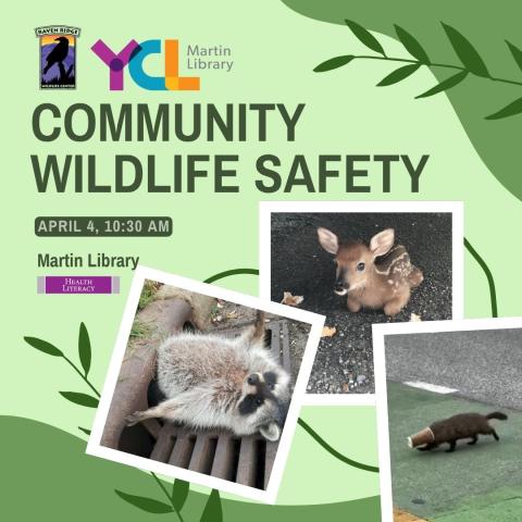 wild animals in need of help