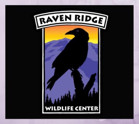 Raven Ridge Wildlife Center logo with backdrop of mountains and a large raven sitting on a tree limb