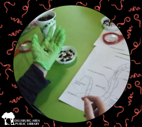 Worm Compost Project