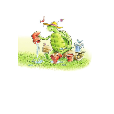 turtle with water in his rain boot