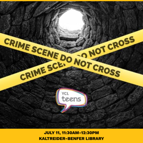 The Girl in the Well:  Teen Crime Solvers