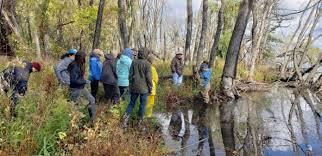 Master Watershed Stewards