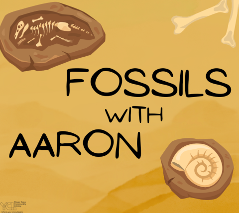 Fossils with Aaron