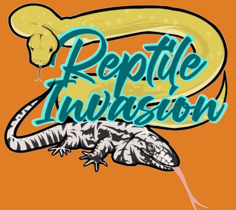snake and a lizard on an orange background with teal text saying reptile invasion