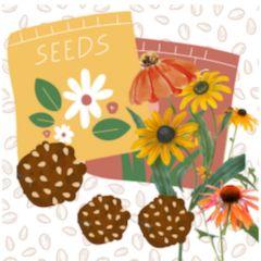 2 seed packets behind 3 seed balls and 6 yellow and orange flowers