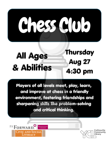 image of chess pawns and description of program