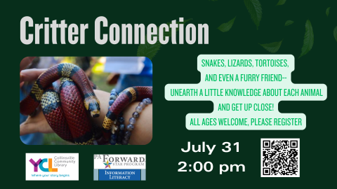 image of snake and description of program