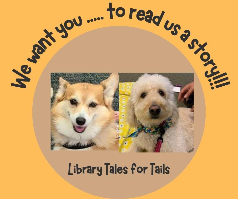 Image of dogs and caption: "We want you to read us a story".