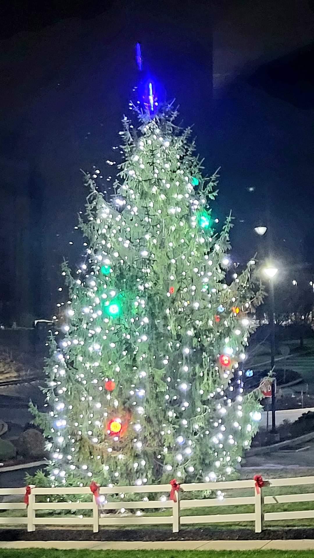 Christmas Tree Lighting