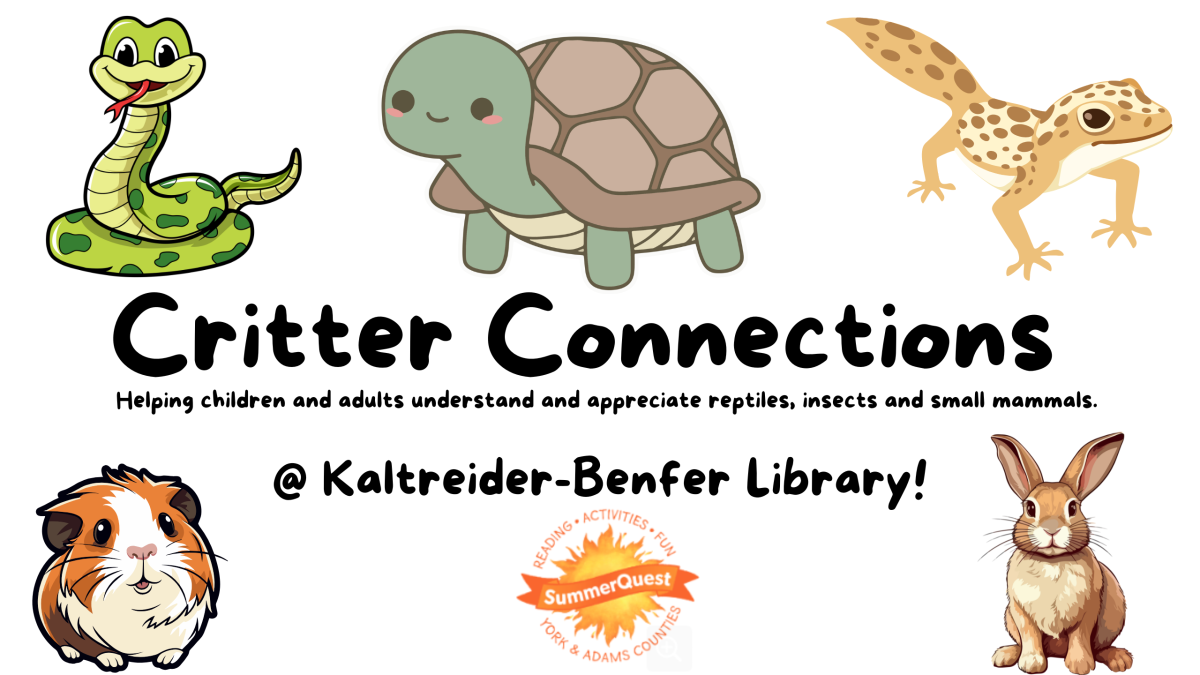 Critter Connection Flyer