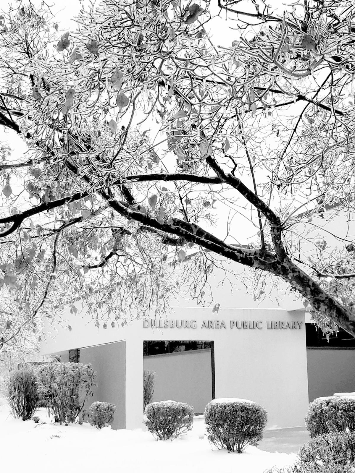 DAPL Fundraising Committee Meeting