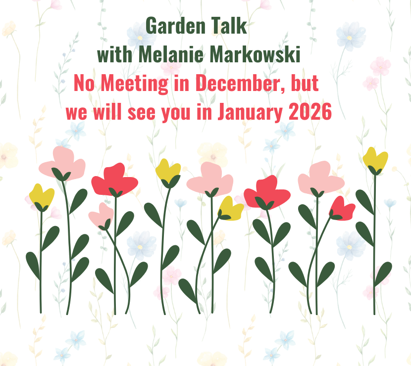 Flower graphic with text stating no Garden Talk in December