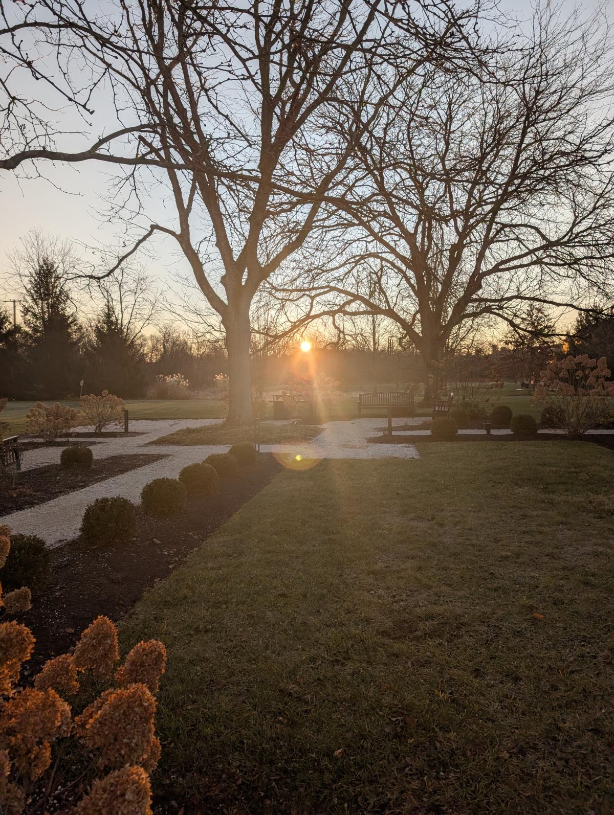 Rooted in Knowledge: A Sustainable Gardening Series - 6:30 PM: Jan 12, Feb 23, March 23, April 27