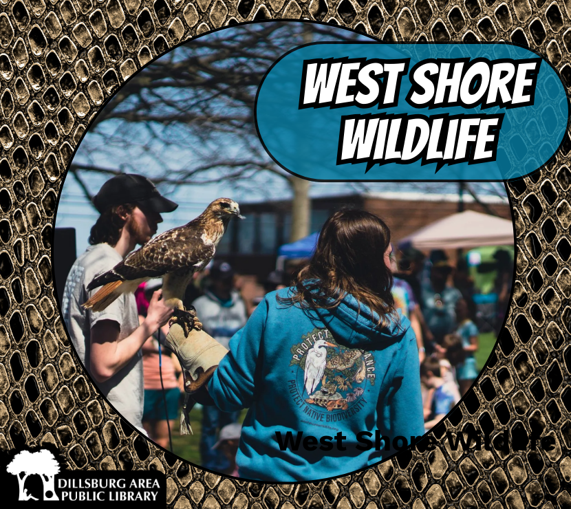 West Shore Wildlife onsite with Raptor