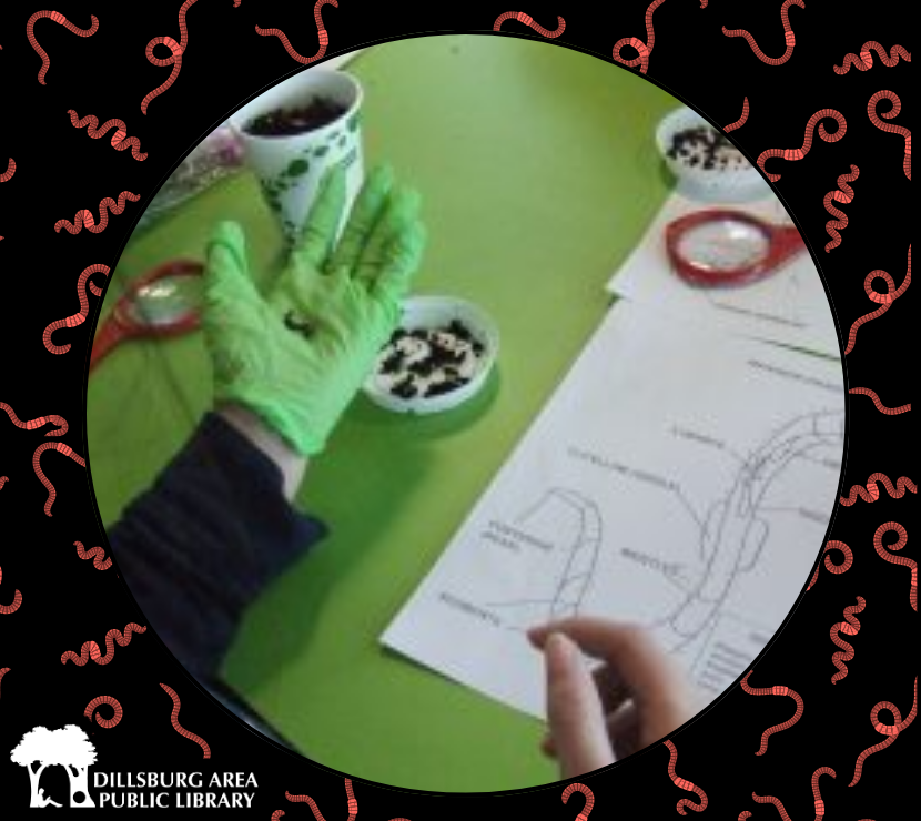 Worm Compost Project