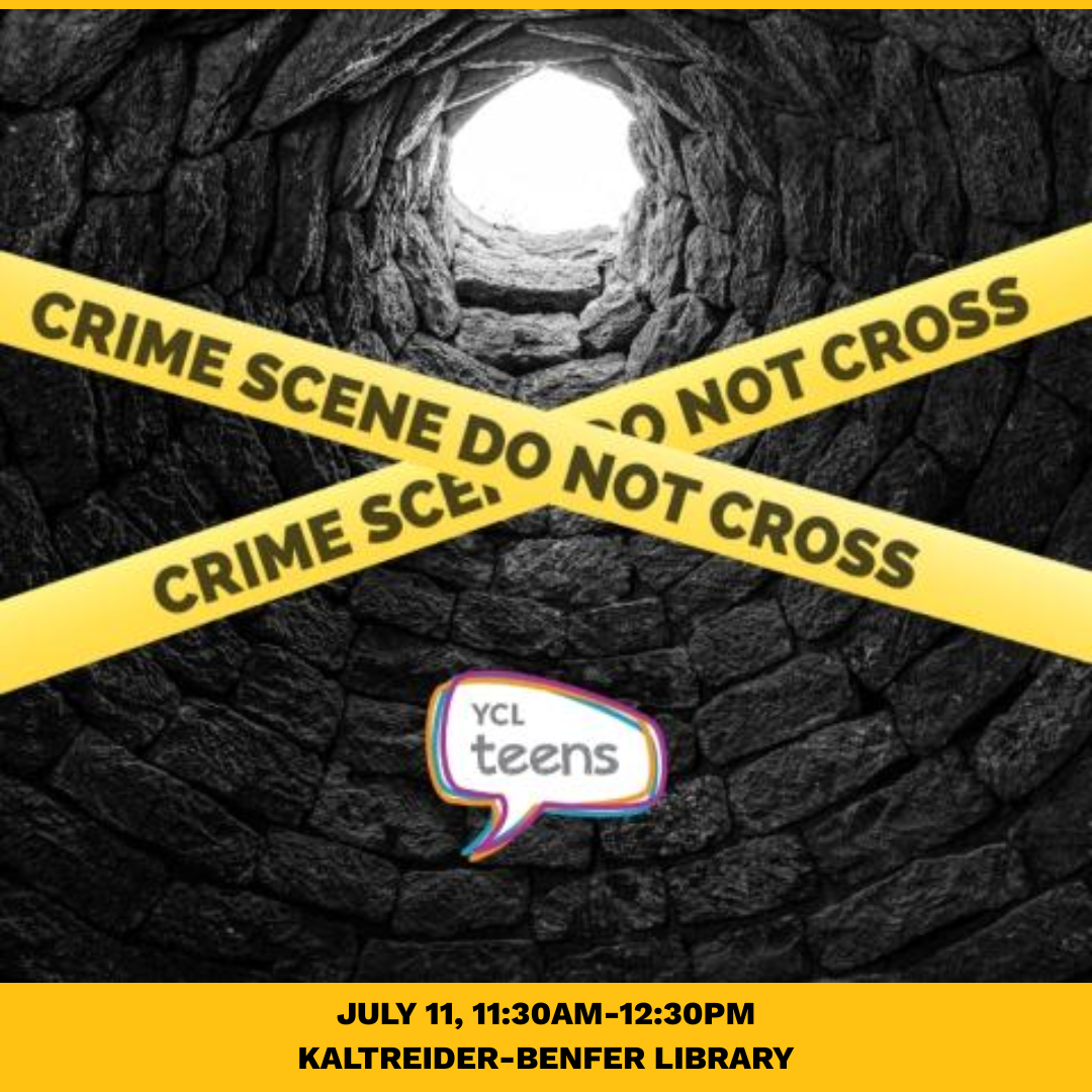 The Girl in the Well:  Teen Crime Solvers