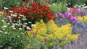 perennial garden
